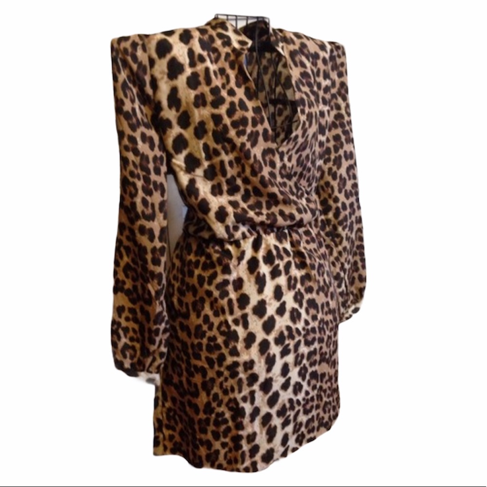 Alloy Apparel Leopard Print Dress